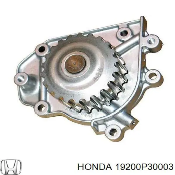 Bomba de agua H137 Dolz