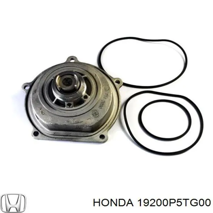Motor de agua Honda 19200P5TG00