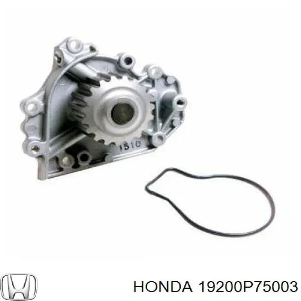 Bombeadora de agua Honda 19200P75003 precio, desde 52,60 EUR