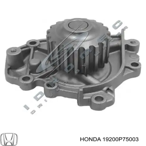 Motor de agua Honda 19200P75003