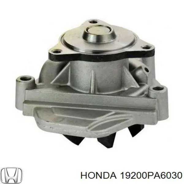 19200PA6030 Honda bomba de agua