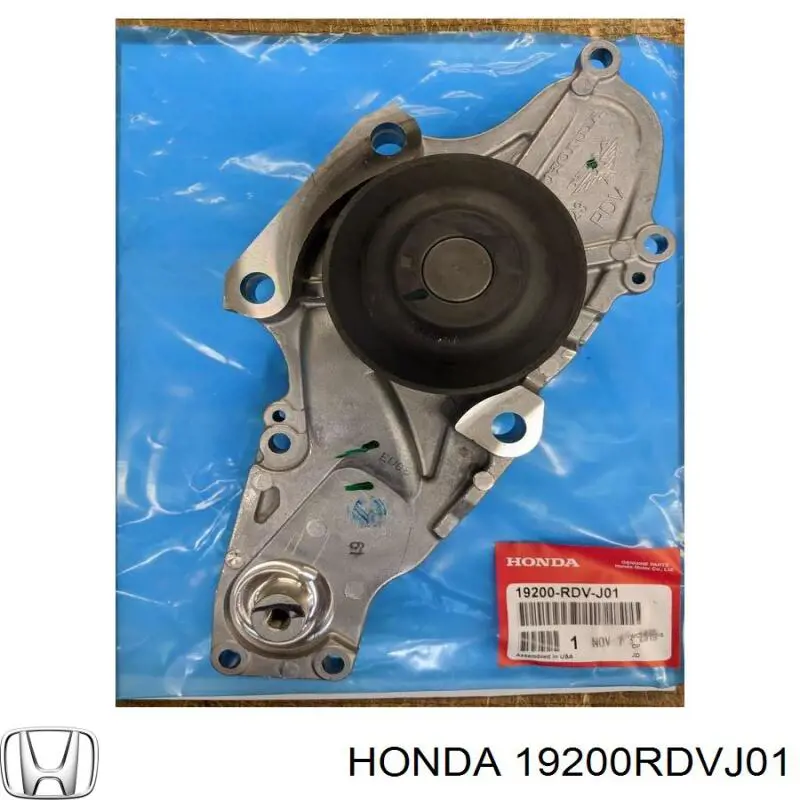 19200RDVJ01 Honda bomba de agua