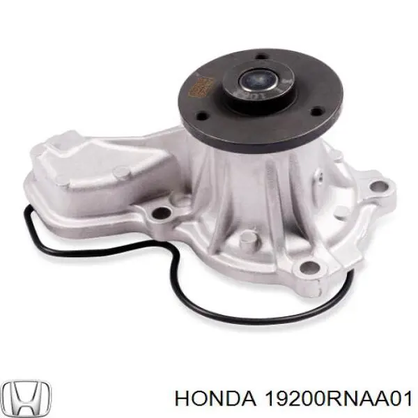 Comprar 19200RNAA01 Honda Bomba de agua para motor