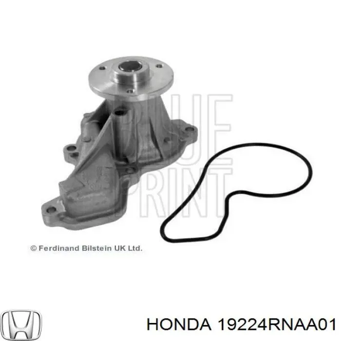 Polea de la bomba de agua Honda 19224RNAA01 precio, desde 6,66 EUR