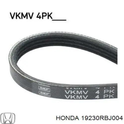 VKMV4PK1160 SKF