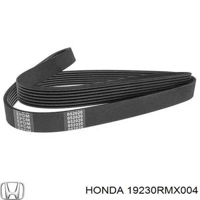 19230RMX004 Honda correa trapezoidal