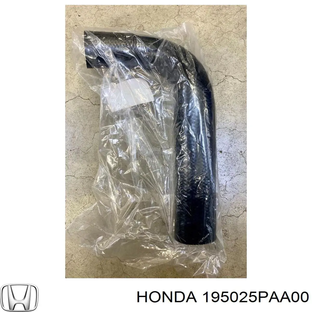 195025PAA00 Honda