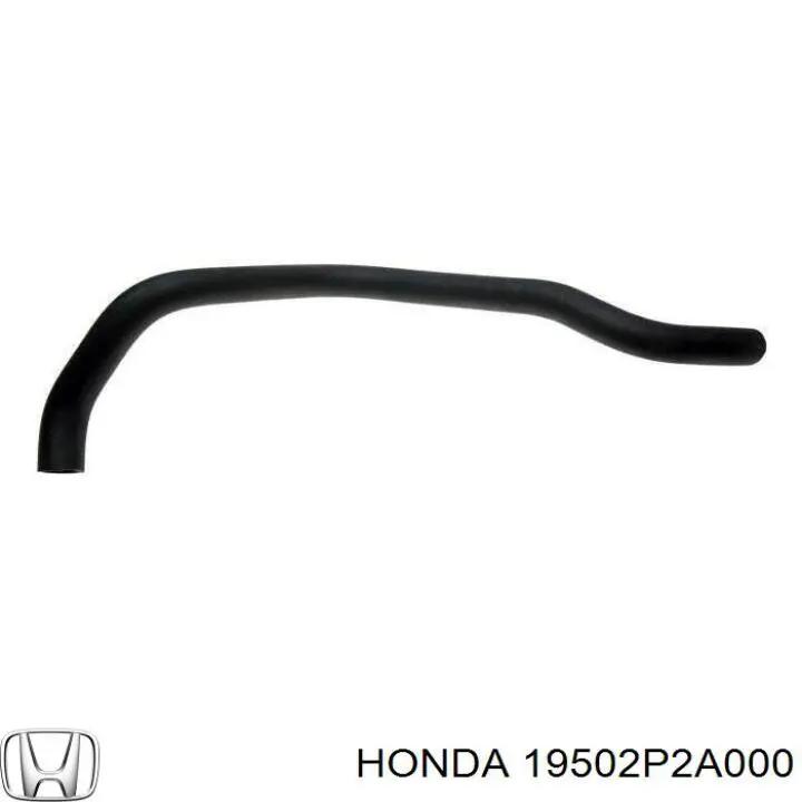 Comprar 19502P2A000 Honda Manguera inferior del radiador