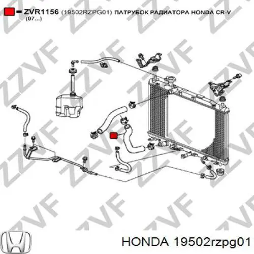 Manguera inferior del radiador Honda 19502RZPG01 precio, desde 14,41 EUR