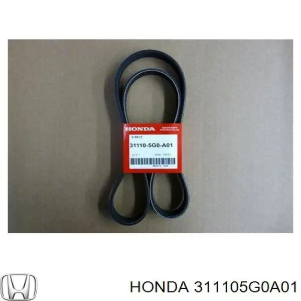 311105G0A01 Honda Correa poly v