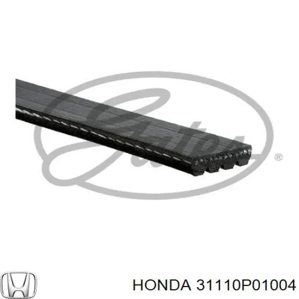 31110P01004 Honda correa trapezoidal