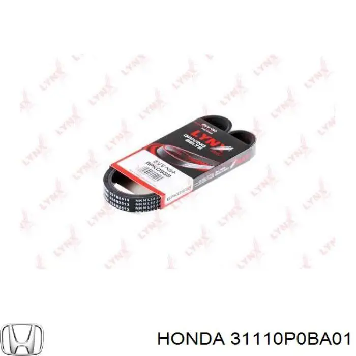 31110P0BA01 Honda correa trapezoidal