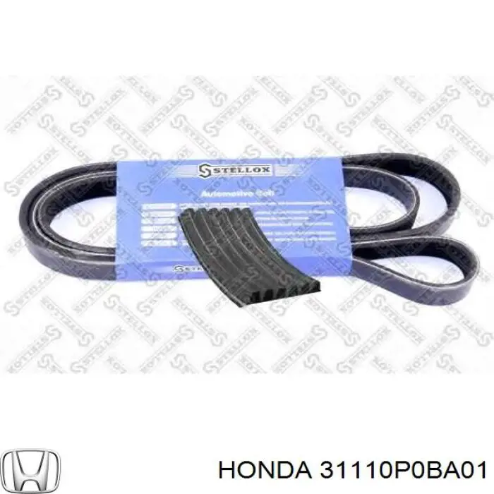 Correa accesorios Toyota 9936680940