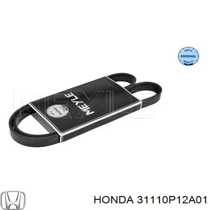 31110P12A01 Honda correa trapezoidal