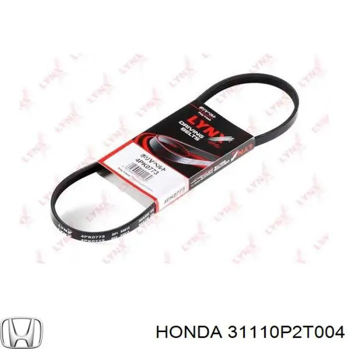 31110P2T004 Honda correa trapezoidal