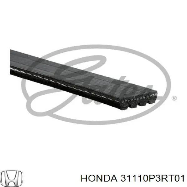 Correa trapezoidal Hyundai Accent 2 LC