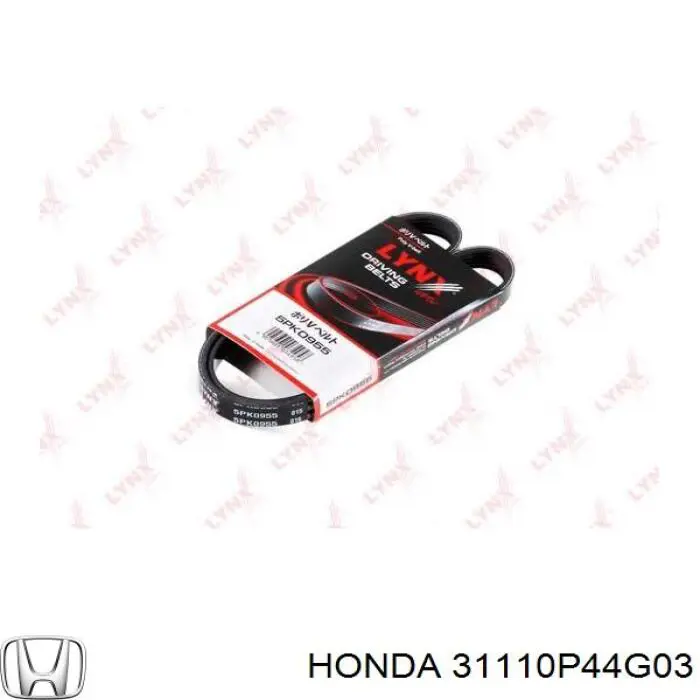 Comprar 31110P44G03 Honda Correa trapezoidal