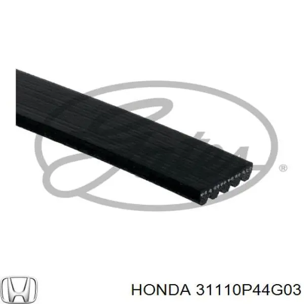 Correa de transmisión trapezoidal Honda 31110P44G03 precio, desde 11,83 EUR
