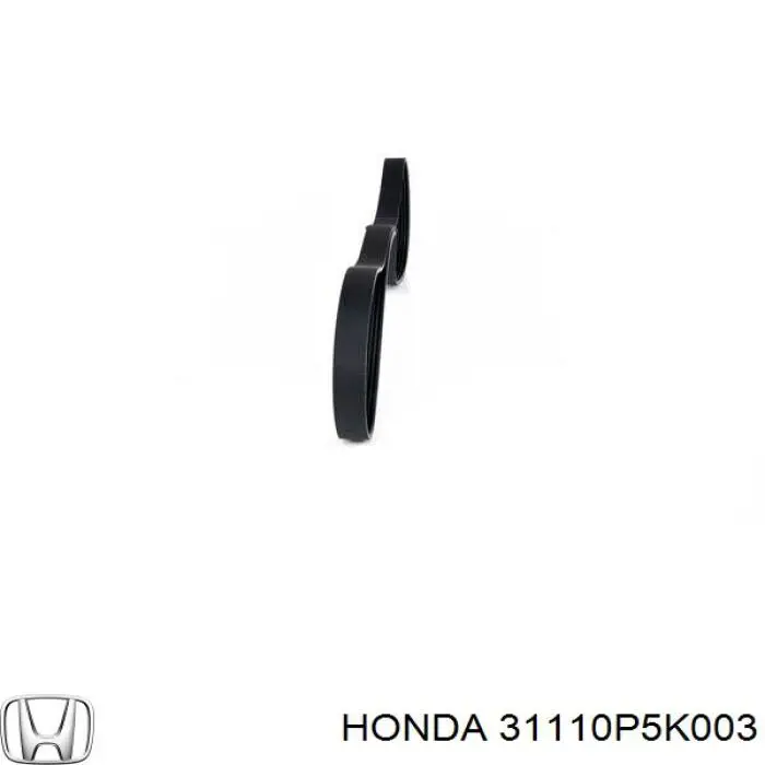 31110P5K003 Honda correa trapezoidal