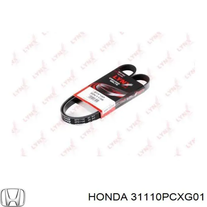 31110PCXG01 Honda correa trapezoidal