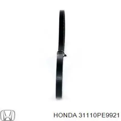 31110PE9921 Honda correa trapezoidal