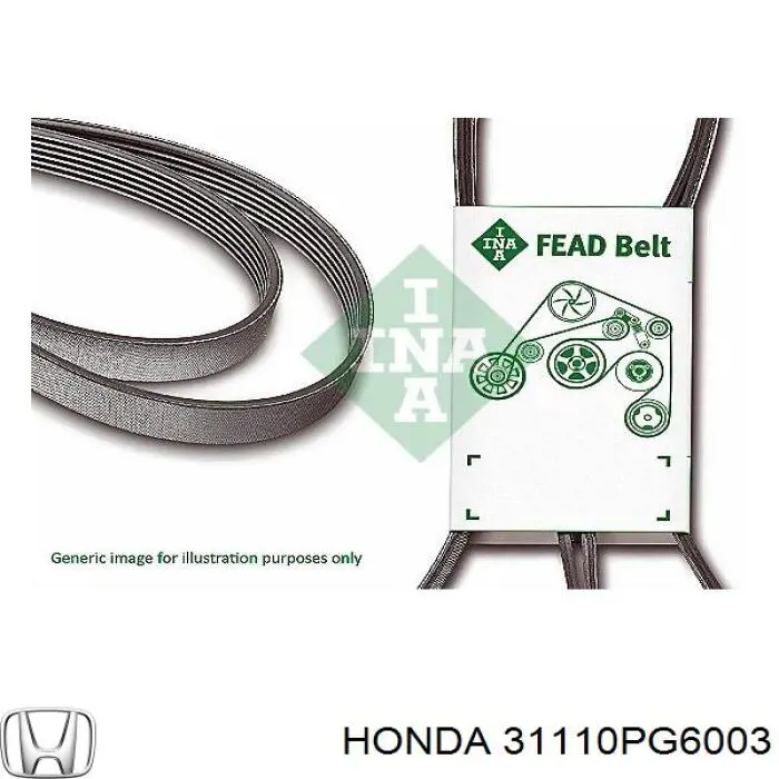 31110PG6003 Honda correa trapezoidal