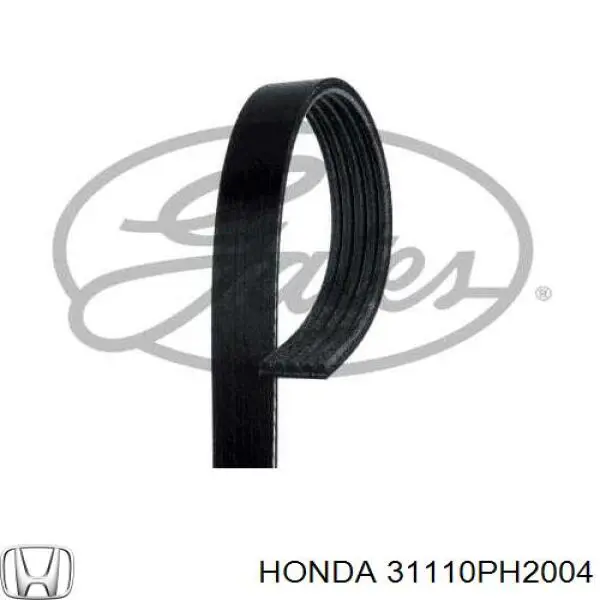 31110-PH2-004 Honda correa trapezoidal