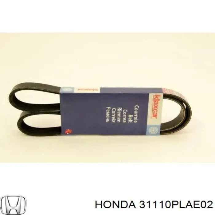 31110PLAE02 Honda correa trapezoidal