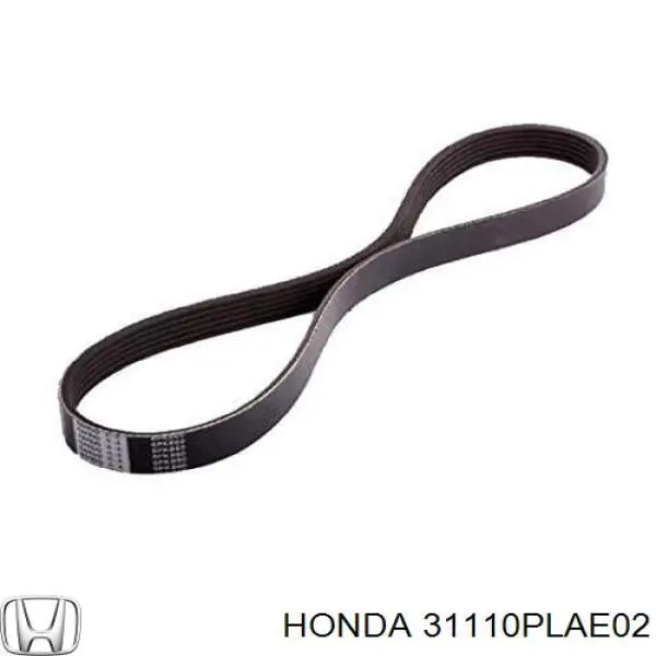 Correa de transmisión trapezoidal Honda 31110PLAE02 precio, desde 8,67 EUR