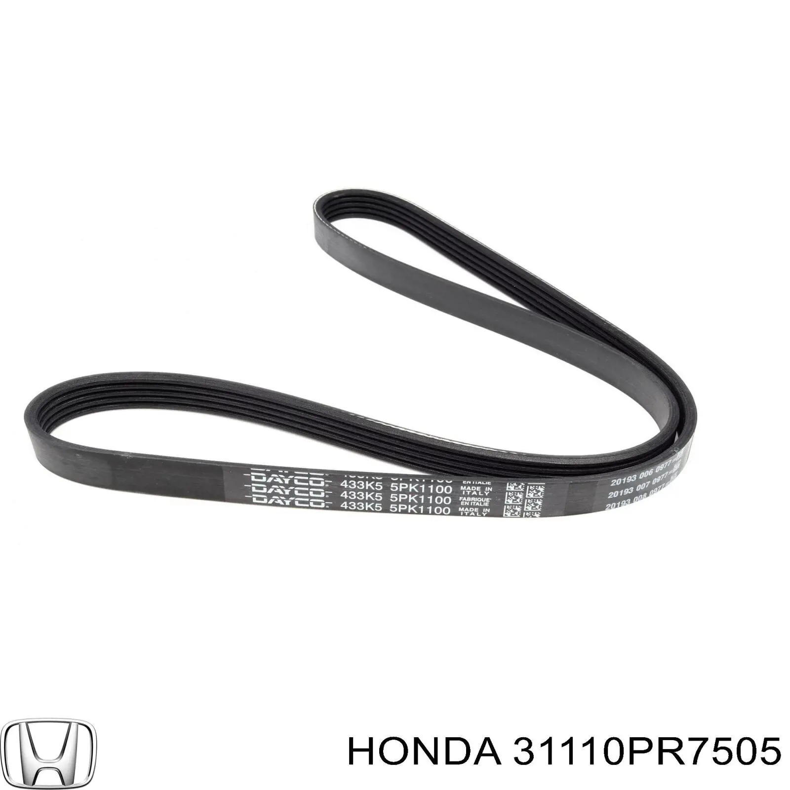 31110PR7505 Honda correa trapezoidal