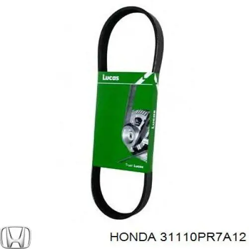 31110PR7A12 Honda correa trapezoidal