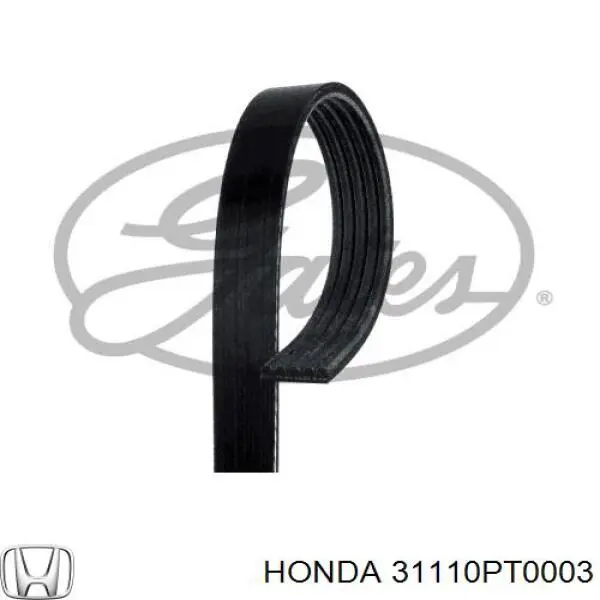 31110-PT0-003 Honda correa trapezoidal