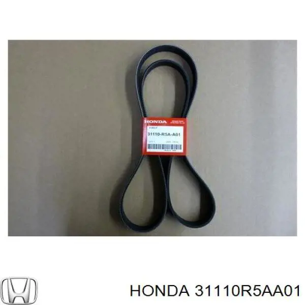 Correa trapezoidal para Honda CR-V (RM)