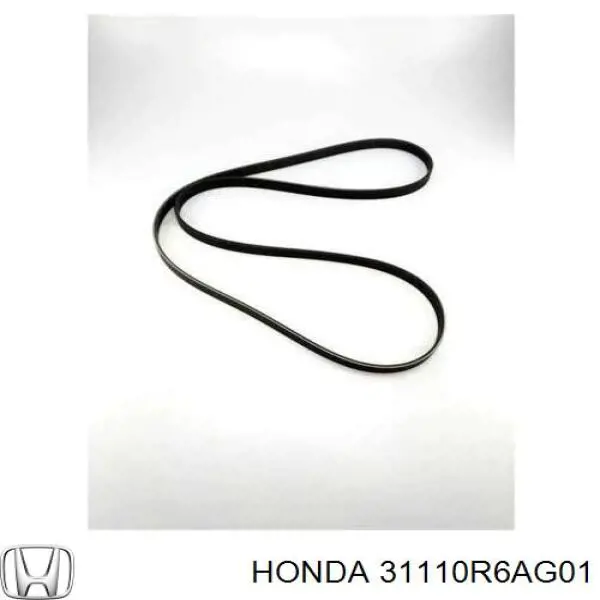 31110R6AG01 Honda Correa poly v