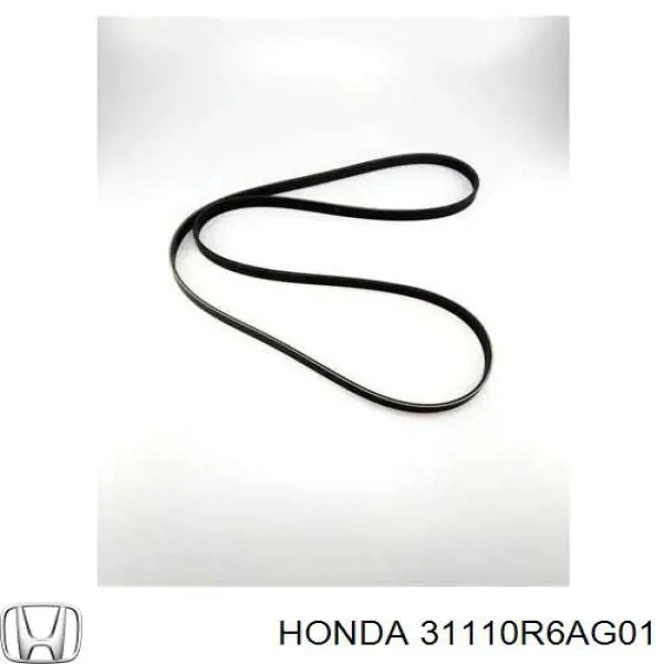 Correa de transmisión trapezoidal Honda 31110R6AG01 precio, desde 20,65 EUR