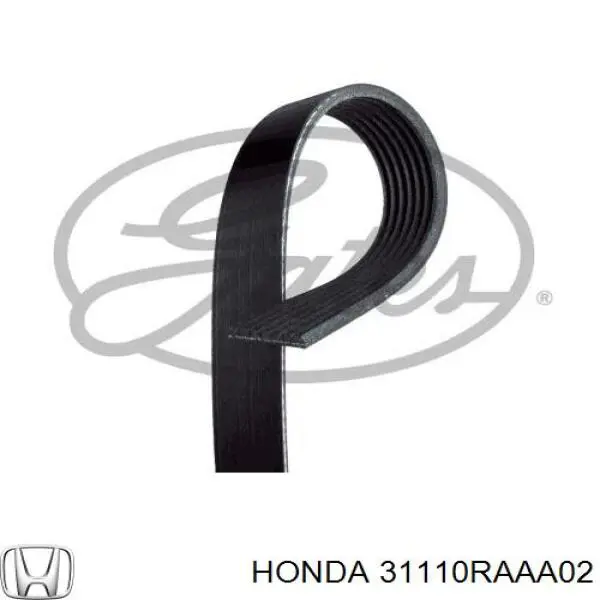 31110RAAA02 Honda correa trapezoidal