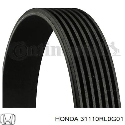 31110RL0G01 Honda correa trapezoidal