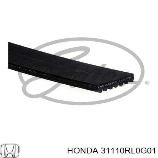 Correa de transmisión trapezoidal Honda 31110RL0G01 precio, desde 22,67 EUR