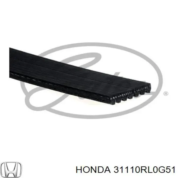 31110RL0G51 Honda correa trapezoidal