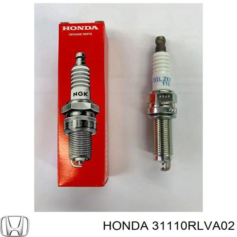 31110RLVA02 Honda Correa poly v