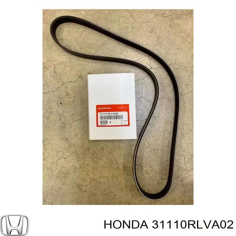 Comprar 31110RLVA02 Honda Correa trapezoidal
