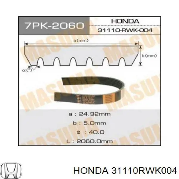 31110RWK004 Honda Correa poly v