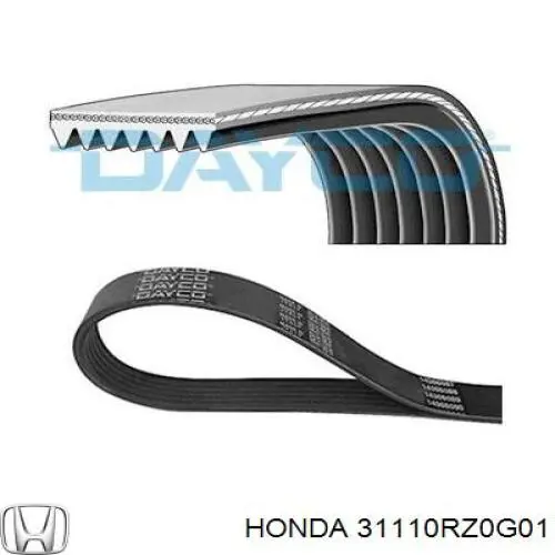 Correa de transmisión trapezoidal Honda 31110RZ0G01 precio, desde 30,60 EUR