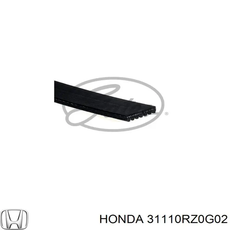 Correa de alternador 7PK1458XS Gates