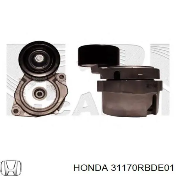 Tensor de correa poli V 31170RBDE01 Honda