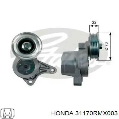 31170RMX003 Honda tensor de correa, correa poli v