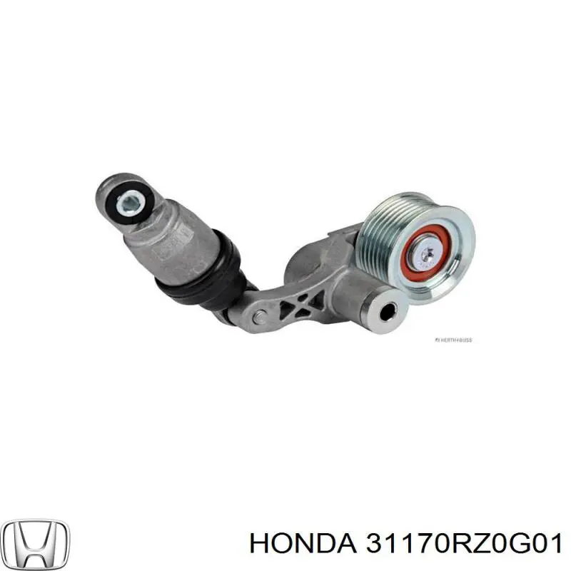 31170RZ0G01 Honda tensor de correa, correa poli v