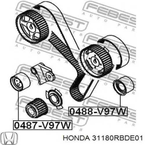 31180RBDE01 Honda tensor de correa, correa poli v