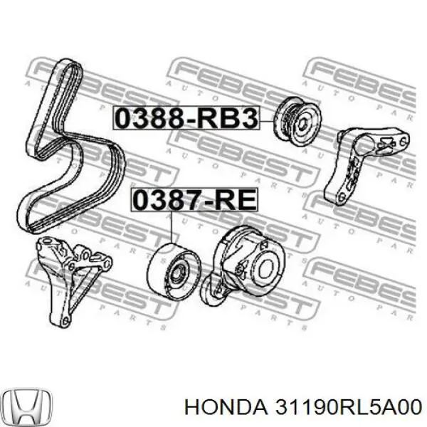 Polea inversión/guía, correa auxiliar servicios Honda 31190RL5A00 precio, desde 38,01 EUR
