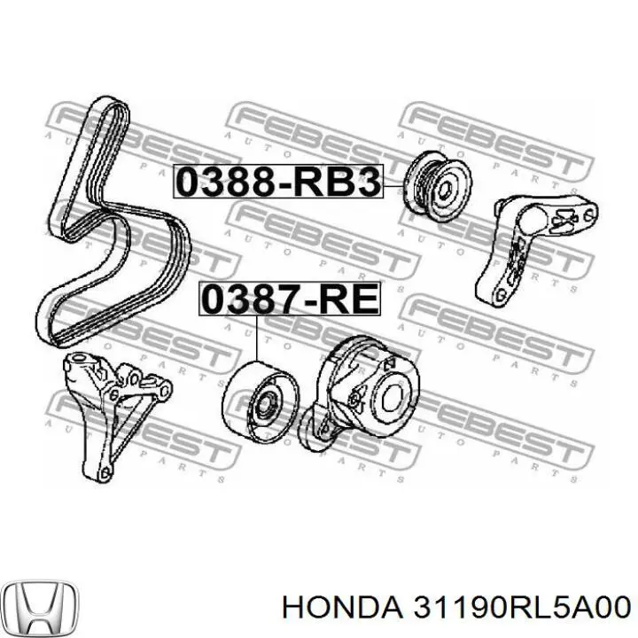 Polea inversión / guía, correa poli V 31190RL5A00 Honda